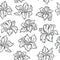 Seamless lily pattern. Vector linear background.