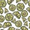 Seamless Lime Slices Background. Pattern of Citrus. Doodle Style Vector Illustration.
