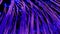 Seamless loop abstract technology background vawing bunch of optical fibers.