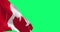 Seamless loop in slow motion of Canada flag waving on green background