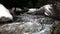 (Seamless Loop) Snowmelt Creek Overflowing Banks