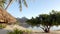 Seamless Loop video: Bora Bora beach vacation paradise island hotel resort
