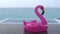 SEAMLESS LOOP VIDEO: Rain on Vacation - funny video of flamingo toy by pool