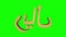 Seamless Looping Animation of 3D Gold Saudi Arabian Riyal Currency Symbol Rotating in a 360 degree turn on Green Screen or Chroma