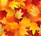 Seamless Maple Leaf Elegance autumn seasons yellow golden warm background wallpaper