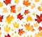 Seamless Maple Leaf Elegance autumn seasons yellow golden warm background wallpaper