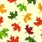 Seamless maple leaves pattern