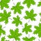 Seamless maple leaves pattern