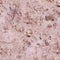 Seamless marble texture interspersed with quartz. background, geological.