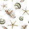 Seamless marine pattern with brown shells and starfish on white