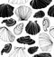 Seamless marine pattern with shells. Black and white graphic background with seashells.