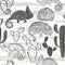Seamless monochrome pattern with cactus and chameleons. Vector c