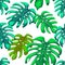 Seamless Monstera Leaves Pattern, White Background, Vector Art EPS 10.