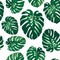 Seamless monstera palm leaves pattern