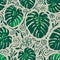 Seamless monstera palm leaves pattern with doodle line elements