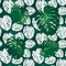 Seamless monstera palm leaves pattern for your summer design