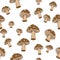 Seamless Mushroom Pattern! Vector eps10