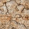 Seamless natural texture - cracked clay ground