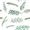 Seamless New Year pattern background spruce twigs on a white background