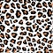 Seamless orange leopard print on white background. Vector pattern, texture, background