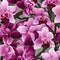 Seamless orchid minimalist