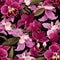 Seamless orchid modern
