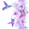 Seamless ornament with orchids and humming birds
