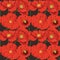 Seamless Papaver Rhoeas Flowers Pattern