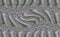 Seamless pattern, abstract background. Rows. Reminds curved path, glade, in weird wood. Calm and cool.