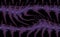 Seamless pattern, abstract background. Rows. Reminds curved path, glade, in weird wood. Spikes. Violet and blue.