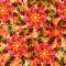 Seamless pattern with abstract bright flowers. Halftone effect. Vector, EPS10
