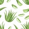 Seamless pattern with aloe vera plant, leaves and slices. Vector illustration