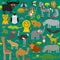 Seamless pattern Animal Africa parrot Hyena Rhinoceros Zebra Hippopotamus Crocodile Turtle Elephant snake camel tsetse ostrich lem