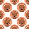 Seamless pattern animal bear face. Funny head muzzle