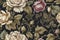 A seamless pattern of Antique Floral Tapestry.