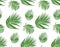 Seamless pattern with areca palm tropical seeded branch, green l