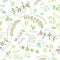 Seamless Pattern With Aromatic Herbs And Cute Titles