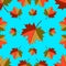 Seamless pattern - Autumn falling leaves