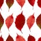 Seamless pattern with autumn leaves. EPS,JPG.