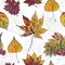 Seamless pattern of autumn leaves Seamless pattern of colorful autumn leaves with maple, rowan, birch