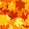 Seamless pattern with autumn maple leaves. Vector