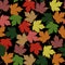 Seamless pattern. Autumn. Multicolored fallen leaves of maple on a black background.