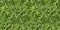 Seamless pattern background. Leaves lettuce arugula. Vegetable