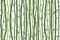 Seamless pattern with bamboo stalks. Silhouette of green bamboo on white background. Bamboo sticks and leaves. Vector illustration