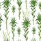 Seamless pattern bamboo tree. Sugarcane plant background, green cane stems isolated, leaves repeat, tropical nature