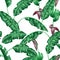 Seamless pattern with banana leaves. Decorative image of tropical foliage, flowers and fruits. Background made without