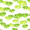 Seamless pattern Batavia salad on white background. Modern ornament with lettuce