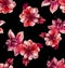 Seamless pattern with beautiful big flowers on black background. Patch for fabric textile prints.