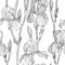 Seamless pattern with Beautiful iris flowers (black and white)