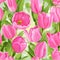 Seamless pattern of beautiful pink tulips realistic